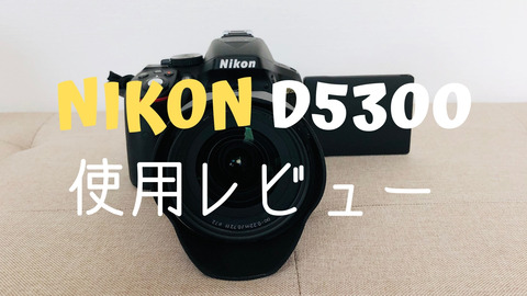 【Nikon D5300】使用レビュー！デジイチ入門機としておすすめ！ | ほんりょーブログ